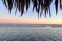 Sunset Dolphin Tiki Boat Cruise