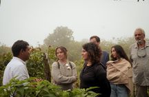 Experience Coffee Tour in San Cristobal, Galapagos.