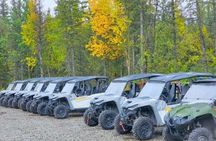 Fall Northern Lights Combo Experience in Willow Alaska