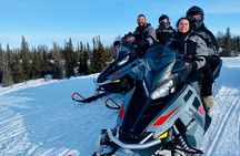 3 in 1 Northern Lights Adventure in Willow Alaska