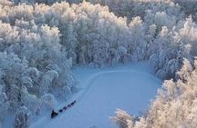 3 in 1 Northern Lights Adventure in Willow Alaska