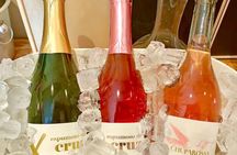 Sparkling Wine Tour Valle de Guadalupe