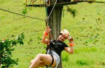 Fly Over the Jungle Experience Zip Line in Punta Cana