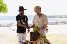 Coconut Experience with The CocoMon in Kailua Kona