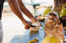 Coconut Experience with The CocoMon in Kailua Kona
