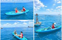 [Free Pickup]Waikiki Turtle Canyon Snorkeling & 6-in-1 Activities