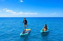 [Free Pickup]Waikiki Turtle Canyon Snorkeling & 6-in-1 Activities