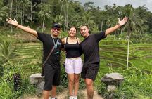 Ubud Private Tour - All Inclusive