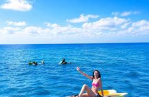 [Free Pickup]Waikiki Turtle Canyon Snorkeling & 6-in-1 Activities