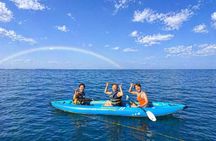 [Free Pickup]Waikiki Turtle Canyon Snorkeling & 6-in-1 Activities