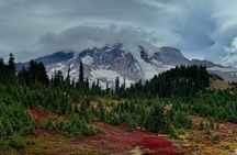 Mount Rainier Scenic National Park Day Tour in Seattle