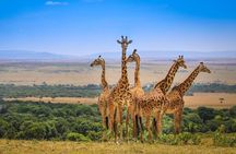 Kenya Safari Budget 4x4 Jeep Adventure Multi Day Tour