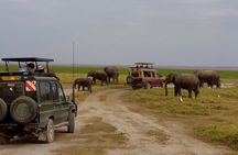 Kenya Safari Budget 4x4 Jeep Adventure Multi Day Tour