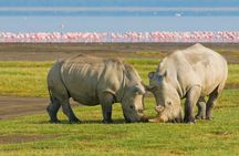 Kenya Safari Budget 4x4 Jeep Adventure Multi Day Tour