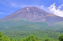 Mt. Fuji & Hakone Private Tour by Car with Licensed Guide