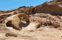 Walvis Bay Cruiseliner Excursion
