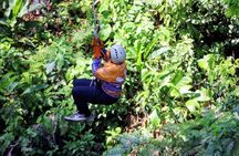 Monteverde: 3 Hours of the Longest & Highest Extreme Zipline