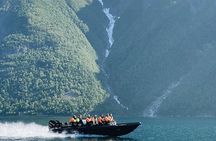 Coastal Safari by RIB from Ålesund