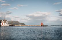 Coastal Safari by RIB from Ålesund