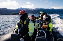 Coastal Safari by RIB from Ålesund