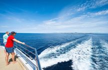 Luxury Full Day Catamaran Tour Split, Hvar, Pakleni Islands