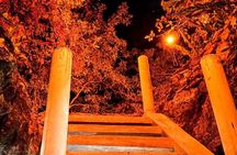 Night of Legends Cenotes Mayan Culture Adventure and Nature