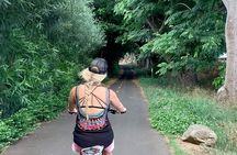 North Shore Maui E-Bike Tour of Hidden Beaches