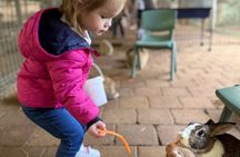 Private Swan Valley Family Fun Day Wildlife Chocolate and Winery