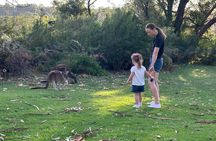 Private Swan Valley Family Fun Day Wildlife Chocolate and Winery