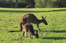 Private Swan Valley Family Fun Day Wildlife Chocolate and Winery