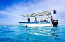 Respectful Whale Safari on Tahiti’s Wild Coast (12 Swimmers Max)