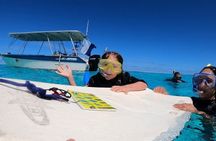 Respectful Whale Safari on Tahiti’s Wild Coast (12 Swimmers Max)