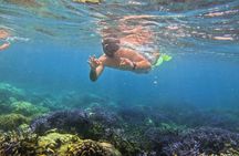South Gili Lombok Snorkeling Tour Asahan Goleng Layar Gili Rengit