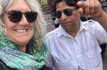 2-Day Taj Mahal Agra Fort Elephant Sanctuary & Fatehpur SikriTour