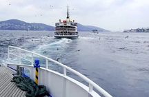 Istanbul Islands Swimming Tour with Lunch and Boat Cruise