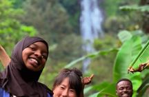 Materuni Waterfalls & Coffee Tour from Moshi