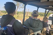 Kruger Park 1-day Safari from Maputo (Open-backed Safari Vehicle)
