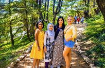 Private Beiteddine, Barouk Cedars & Deir el Qamar | Chouf Tour