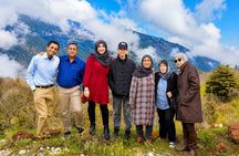 Qadisha Valley, Cedars Hike & Gibran Museum | Small-Group Tour