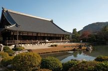Kyoto Private Tour Early Morning Arashiyama Bamboo Forest