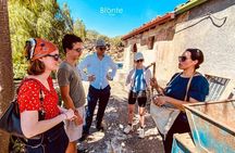 Tour and Tasting at an Old Bronte Pistachio Farm