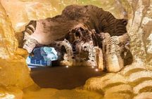 Cape Spartel & Hercules Caves 5-Hour Tour with Camel Ride