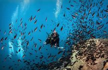 PADI Discover Scuba Diving for Beginners at Ouranoupoli|Chalkidiki|Greece