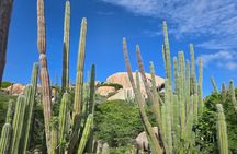 Half Day Private Island Tour in Aruba