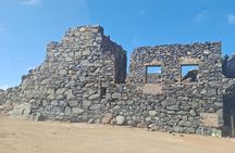 Half Day Private Island Tour in Aruba