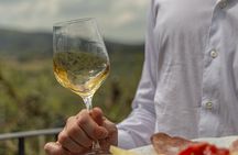 [MAX 8pp] Gelato, Wine & Cheese in San Gimignano from Florence