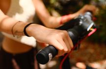 Segway Scooter Tour Cancun – Ocean Views & Hotel Zone 1.5 Hours
