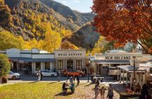 Private Sightseeing Charter in Queenstown