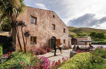 Discover Queenstown – Private Wine Tour with Top 4 Wineries