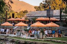 Discover Queenstown – Private Wine Tour with Top 4 Wineries
